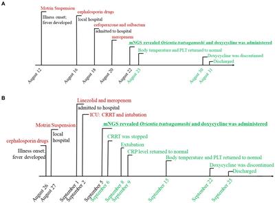 mNGS helped diagnose scrub typhus-associated HLH in children: a report of two cases